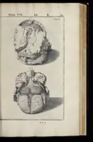 An illustration from Adriani Spigelii Bruxellensis equitis D. Marci, olim in Patavino gymnasio anatomiae et chirurgiae professoris primarii Opera quae extant, omnia (1645)