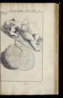 Picture 37 of 43 from Adriani Spigelii Bruxellensis equitis D. Marci, olim in Patavino gymnasio anatomiae et chirurgiae professoris primarii Opera quae extant, omnia (1645), leaf 592