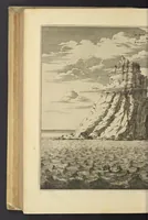 An illustration from Naukeurige beschrijvinge der Afrikaensche eylanden : als Madagaskar, of Sant Laurens, Sant Thomee, d'eilanden van Kanarien, Kaep de Verd, Malta, en andere ... (1668)