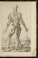 An illustration from Notomie di Titiano ... (1685)