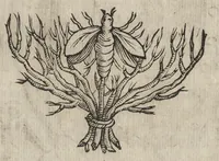 An illustration from Memorie imprese, e ritratti de' signori Accademici Gelati di Bologna (1672)