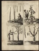 Picture 2 of 62 from Het vermakelijck landt-leven : bestaende in de volgende deelen .. (1669), leaf 11