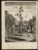 Picture 16 of 62 from Het vermakelijck landt-leven : bestaende in de volgende deelen .. (1669), leaf 125