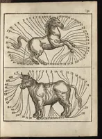 An illustration from Het vermakelijck landt-leven : bestaende in de volgende deelen .. (1669)
