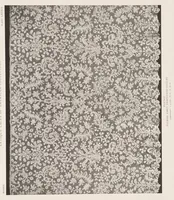 An illustration from Antique laces of American collectors; text by Frances Morris and Marian Hague (1920)
