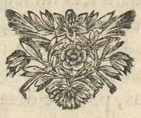 An illustration from Traité de l'usage du pantometre : instrument geometrique propre à prendre toutes fortes d'angles, mezurer les distances accessibles & inaccessibles, arpenter & diviser toutes fortes de figure, &c., nouvellement inventé par le Sr. Bullet, architecte & ingenieur du roi & de la ville (1675)