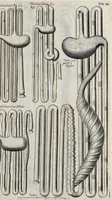 Picture 26 of 31 from Musaeum Regalis Societatis, or, A catalogue & description of the natural and artificial rarities belonging to the Royal Society, and preserved at Gresham Colledge (1681), leaf 500