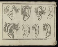 An illustration from L'art de dessiner de Maistre Jean Cousin (1685)