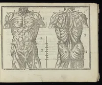 An illustration from L'art de dessiner de Maistre Jean Cousin (1685)