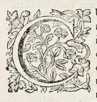 An illustration from Bellum Lusitanum : ejusque regni separatio a regno Castellensi cum abrogatione superadjecta Alfonsi regis Lusitani (1684)