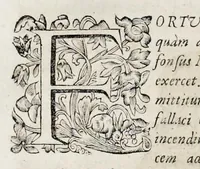 An illustration from Bellum Lusitanum : ejusque regni separatio a regno Castellensi cum abrogatione superadjecta Alfonsi regis Lusitani (1684)