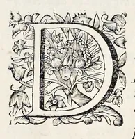 An illustration from Bellum Lusitanum : ejusque regni separatio a regno Castellensi cum abrogatione superadjecta Alfonsi regis Lusitani (1684)