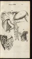 An illustration from Thomae Bartholini Anatome ex omnium veterum recentiorumque observationibus inprimis institutionibus b.m. parentis Caspari Bartholini : ad circulationem Harvejanam, et vasa lymphatica (1686)