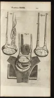 Picture 18 of 58 from Thomae Bartholini Anatome ex omnium veterum recentiorumque observationibus inprimis institutionibus b.m. parentis Caspari Bartholini : ad circulationem Harvejanam, et vasa lymphatica (1686), leaf 252