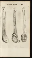 An illustration from Thomae Bartholini Anatome ex omnium veterum recentiorumque observationibus inprimis institutionibus b.m. parentis Caspari Bartholini : ad circulationem Harvejanam, et vasa lymphatica (1686)