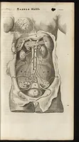 An illustration from Thomae Bartholini Anatome ex omnium veterum recentiorumque observationibus inprimis institutionibus b.m. parentis Caspari Bartholini : ad circulationem Harvejanam, et vasa lymphatica (1686)