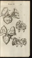 Picture 32 of 58 from Thomae Bartholini Anatome ex omnium veterum recentiorumque observationibus inprimis institutionibus b.m. parentis Caspari Bartholini : ad circulationem Harvejanam, et vasa lymphatica (1686), leaf 416