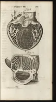 Picture 33 of 58 from Thomae Bartholini Anatome ex omnium veterum recentiorumque observationibus inprimis institutionibus b.m. parentis Caspari Bartholini : ad circulationem Harvejanam, et vasa lymphatica (1686), leaf 434