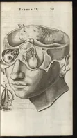 An illustration from Thomae Bartholini Anatome ex omnium veterum recentiorumque observationibus inprimis institutionibus b.m. parentis Caspari Bartholini : ad circulationem Harvejanam, et vasa lymphatica (1686)