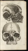 An illustration from Thomae Bartholini Anatome ex omnium veterum recentiorumque observationibus inprimis institutionibus b.m. parentis Caspari Bartholini : ad circulationem Harvejanam, et vasa lymphatica (1686)