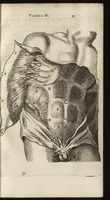 Picture 4 of 58 from Thomae Bartholini Anatome ex omnium veterum recentiorumque observationibus inprimis institutionibus b.m. parentis Caspari Bartholini : ad circulationem Harvejanam, et vasa lymphatica (1686), leaf 82