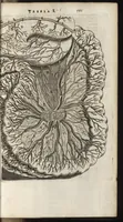 Picture 58 of 58 from Thomae Bartholini Anatome ex omnium veterum recentiorumque observationibus inprimis institutionibus b.m. parentis Caspari Bartholini : ad circulationem Harvejanam, et vasa lymphatica (1686), leaf 852