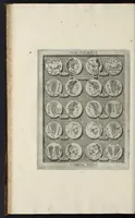 Picture 22 of 36 from Sicilia et Magna Graecia, sive, Historiae urbium et populorum Graeciae ex antiquis numismatibus liber primus (1644), leaf 45