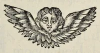 An illustration from Leeuwenhoeks werken (1684)