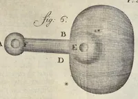 Picture 6 of 6 from Leeuwenhoeks werken (1684), leaf 566