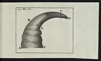 Picture 20 of 33 from Leeuwenhoeks werken (1684), leaf 600