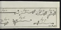 Picture 25 of 33 from Leeuwenhoeks werken (1684), leaf 726