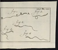 Picture 30 of 33 from Leeuwenhoeks werken (1684), leaf 824