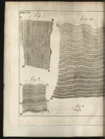 An illustration from Leeuwenhoeks werken (1684)