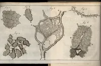 An illustration from Leeuwenhoeks werken (1684)
