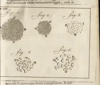 Picture 30 of 30 from Leeuwenhoeks werken (1684), leaf 496