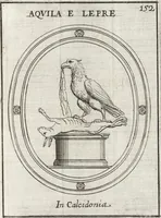 Picture 166 of 216 from Le gemme antiche figurate (1700), leaf 412