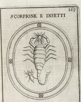 An illustration from Le gemme antiche figurate (1700)