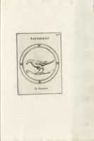 Picture 212 of 216 from Le gemme antiche figurate (1700), leaf 500