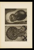 An illustration from Materīaly dli︠a︡ istorīi russkago ikonopisanīi︠a︡; atlas snimkov (1906)