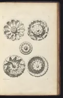 Picture 28 of 34 from Diuers ornements d'architecture, recueillis et dessegnes apres l'antique (1658), leaf 112