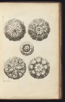 Picture 29 of 34 from Diuers ornements d'architecture, recueillis et dessegnes apres l'antique (1658), leaf 114