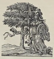 An illustration from Matthiae Dögen Dramburgensis marchici Architectura militaris moderna : varijs historijs, tam veteribus quam novis confirmata, et praecipuis totius Europae munimentis, ad exemplum adductis exornata (1647)