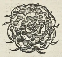 An illustration from Hieroglyphica, siue, Antiqua schemata gemmarum anularium : quaesita moralia, politica, historica, medica, philosophica, & sublimiora, omnigenam eruditionem & altiorem sapientiam attingentia (1653)
