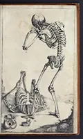 An illustration from Anatomie der wtterlicke deelen van het menschelick lichaem : dienende om te verstaen, ende volkomentlick wt te beelden alle beroerlicheit des selven lichaems (1634)