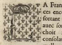 Picture 8 of 22 from Paralelles et eloges historiques d'Alexandre le Grand et de monseigneur le prince duc d'Anguien : auec les planches des plus importantes villes qu'il a reduites en ses quatre campaignes sous l'obeyssance du roy (1647), leaf 34