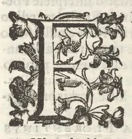 Picture 5 of 25 from Iacobi Philippi Tomasini Patauini ... Petrarcha rediuiuus : integram poetae celeberrimi vitam iconibus aere celatis exhibens : accessit nobilissimae foeminae Laurae breuis historia (1635), leaf 22