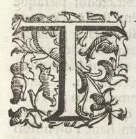 An illustration from Iacobi Philippi Tomasini Patauini ... Petrarcha rediuiuus : integram poetae celeberrimi vitam iconibus aere celatis exhibens : accessit nobilissimae foeminae Laurae breuis historia (1635)