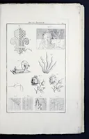 Picture 2 of 7 from L'art du brodeur (1770), leaf 58