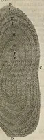 Picture 7 of 27 from Leeuwenhoeks werken (1684), leaf 214