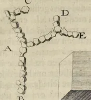Picture 14 of 27 from Leeuwenhoeks werken (1684), leaf 334
